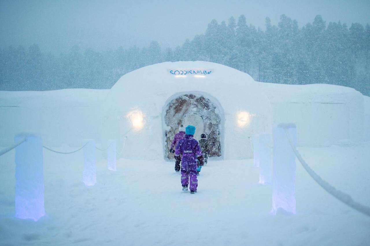 Sorrisniva Arctic Wilderness Lodge Alta Bagian luar foto